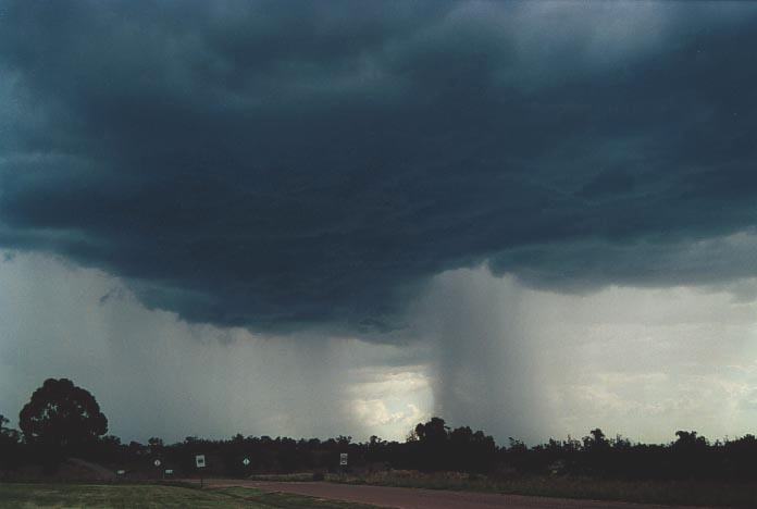 cumulonimbus thunderstorm_base : Mullaley, NSW   28 November 2000