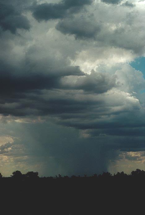 cumulonimbus thunderstorm_base : Mullaley, NSW   28 November 2000