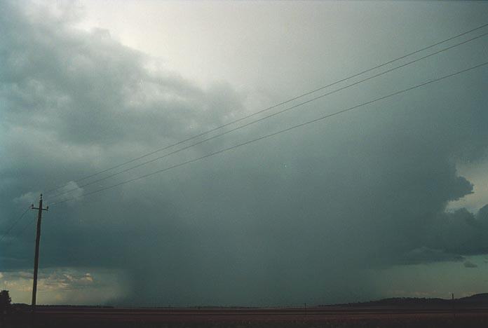 cumulonimbus thunderstorm_base : Mullaley, NSW   28 November 2000