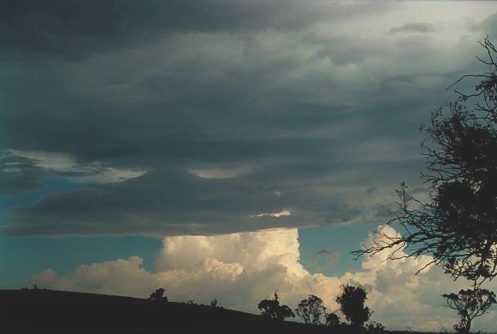 altostratus altostratus_cloud : Mullaley, NSW   28 November 2000