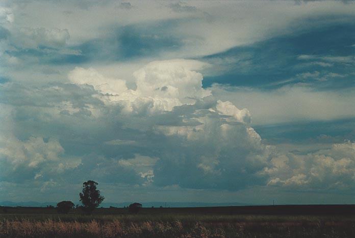 cirrus cirrus_cloud : near Quirindi, NSW   29 November 2000