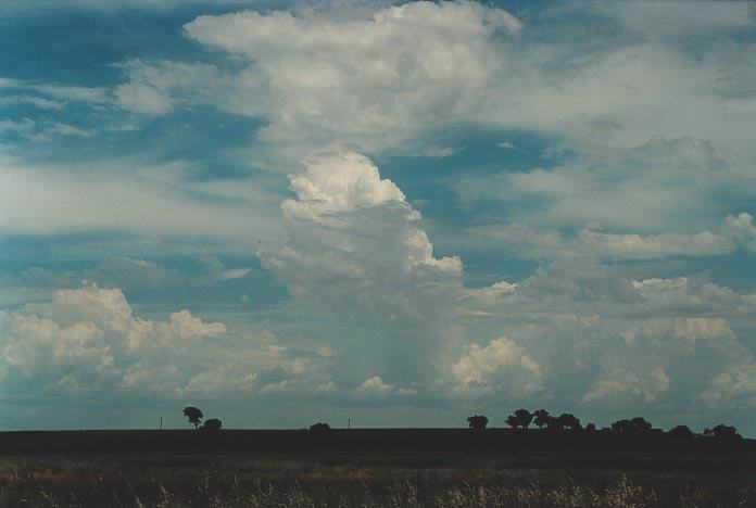 cirrus cirrus_cloud : near Quirindi, NSW   29 November 2000
