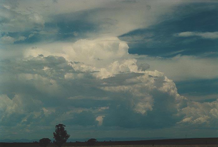 cirrus cirrus_cloud : Quirindi lookout, NSW   29 November 2000