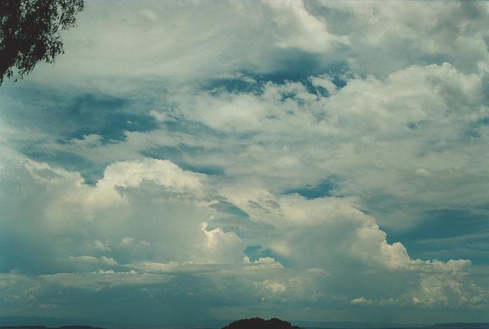 thunderstorm cumulonimbus_incus : Quirindi lookout, NSW   29 November 2000