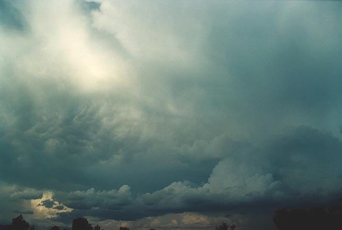 cumulonimbus thunderstorm_base : W of Quirindi, NSW   29 November 2000