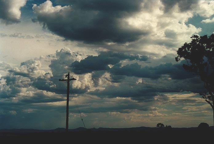 cumulus mediocris : NW of Singleton, NSW   30 November 2000