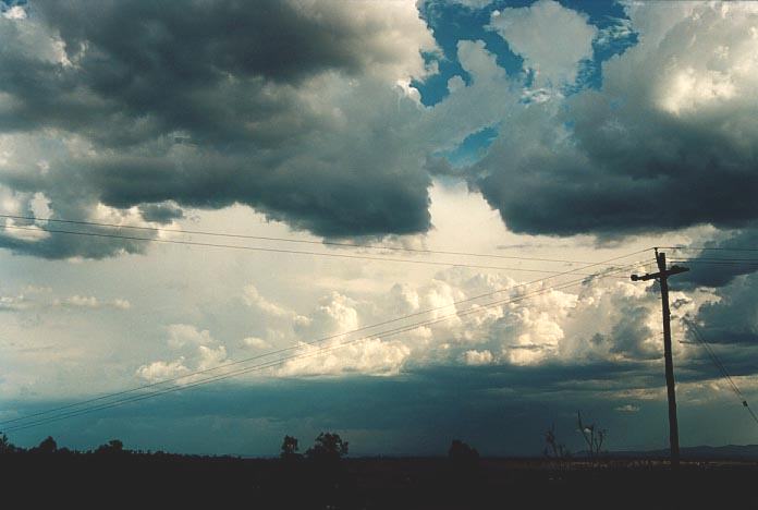 cumulus congestus : NW of Singleton, NSW   30 November 2000