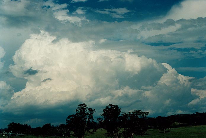 thunderstorm cumulonimbus_calvus : Glen Innes, NSW   1 December 2000