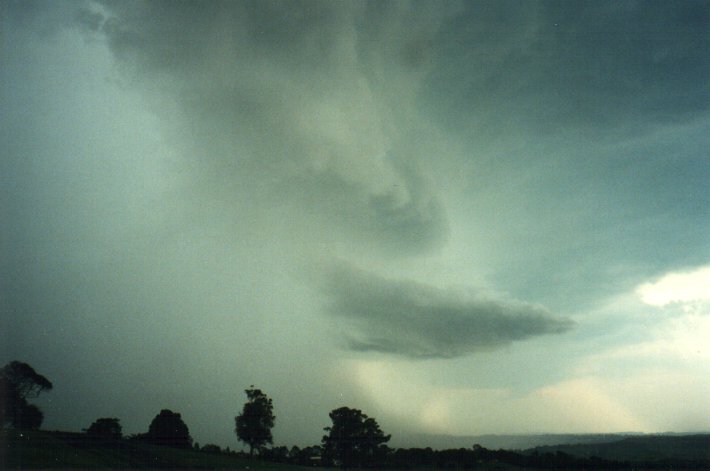 cumulonimbus thunderstorm_base : McLeans Ridges, NSW   1 December 2000