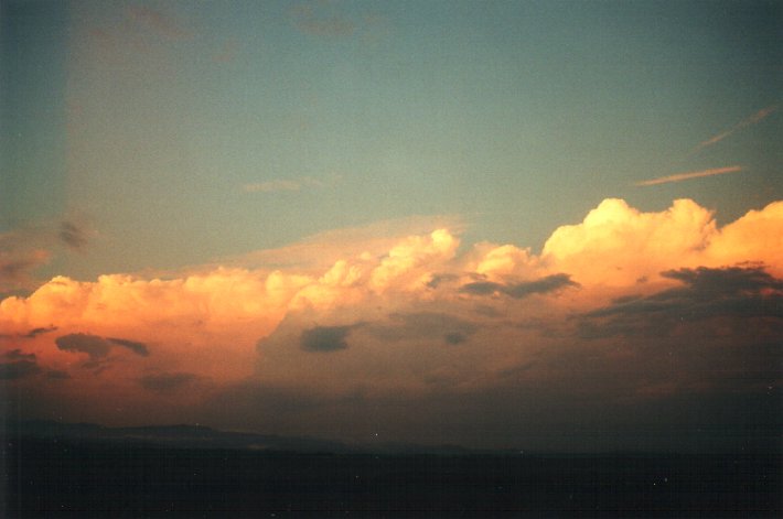 thunderstorm cumulonimbus_calvus : McLeans Ridges, NSW   1 December 2000