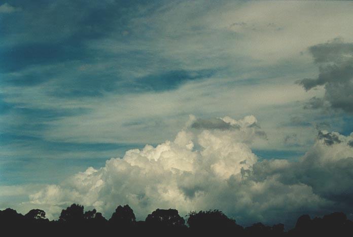 cirrus cirrus_cloud : Tingha, NSW   4 December 2000