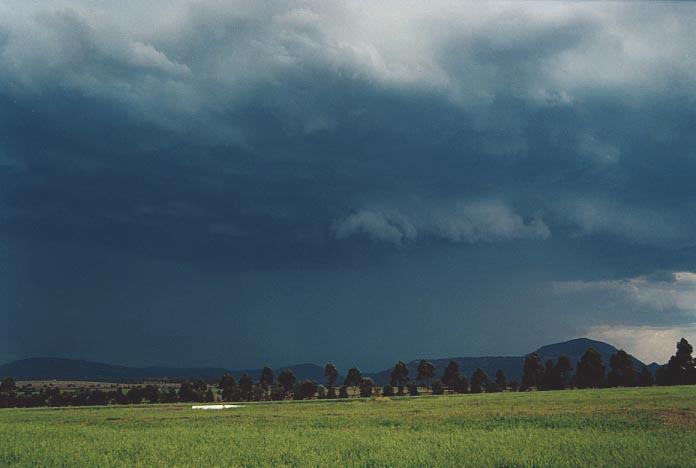 raincascade precipitation_cascade : W of Jerrys Plains, NSW   6 December 2000