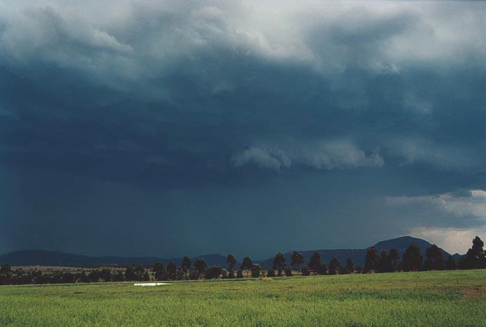 cumulonimbus supercell_thunderstorm : W of Jerrys Plains, NSW   6 December 2000