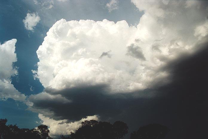 thunderstorm cumulonimbus_calvus : N of Muswellbrook, NSW   6 December 2000