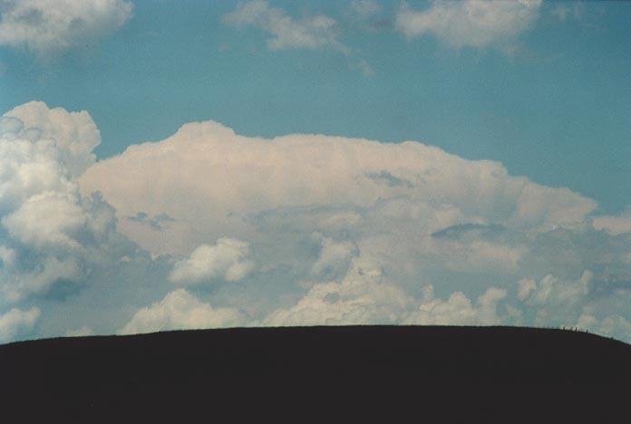 cumulonimbus supercell_thunderstorm : E of Walcha, NSW   7 December 2000