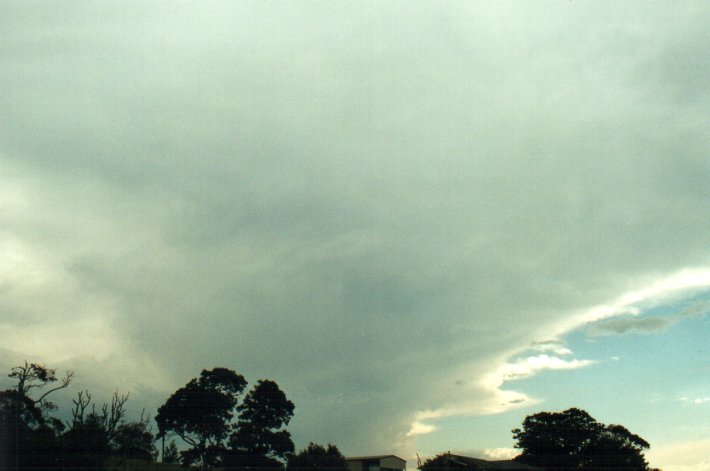 anvil thunderstorm_anvils : McLeans Ridges, NSW   7 December 2000