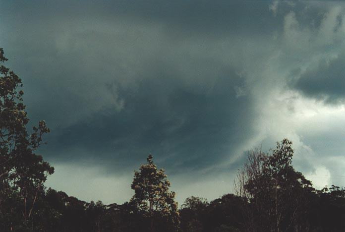 cumulonimbus thunderstorm_base : Nymboida, NSW   8 December 2000