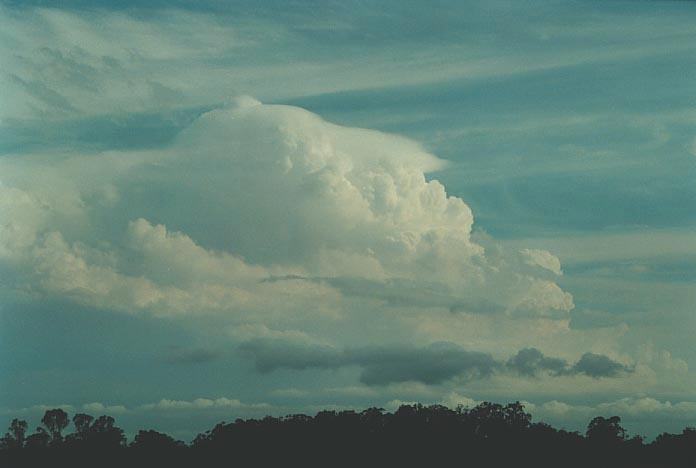 thunderstorm cumulonimbus_incus : near Grafton, NSW   8 December 2000