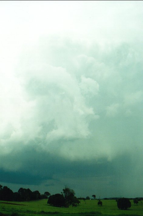 cumulonimbus thunderstorm_base : Wollongbar, NSW   8 December 2000