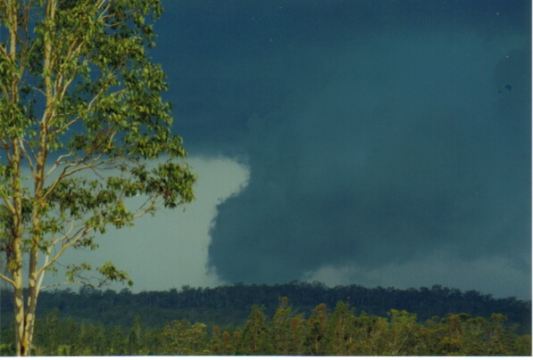 contributions received : Grafton, NSW<BR>Photo by Mario Orazem   8 December 2000