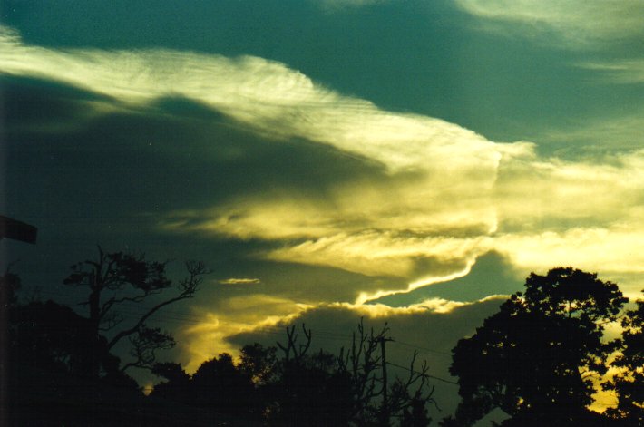 anvil thunderstorm_anvils : McLeans Ridges, NSW   11 December 2000