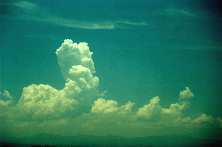 cumulus congestus : McLeans Ridges, NSW   12 December 2000
