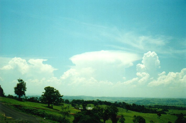 thunderstorm cumulonimbus_calvus : McLeans Ridges, NSW   12 December 2000