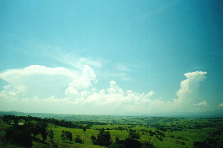 cumulus congestus : McLeans Ridges, NSW   12 December 2000