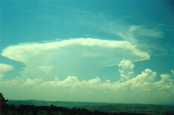 anvil thunderstorm_anvils : McLeans Ridges, NSW   12 December 2000