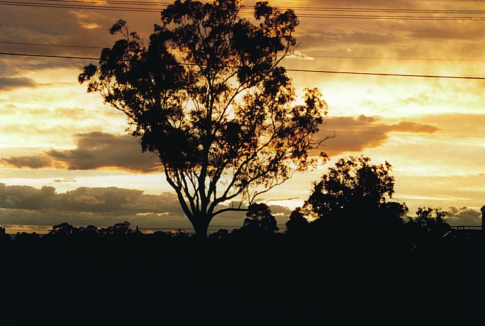 altostratus altostratus_cloud : Schofields, NSW   23 December 2000