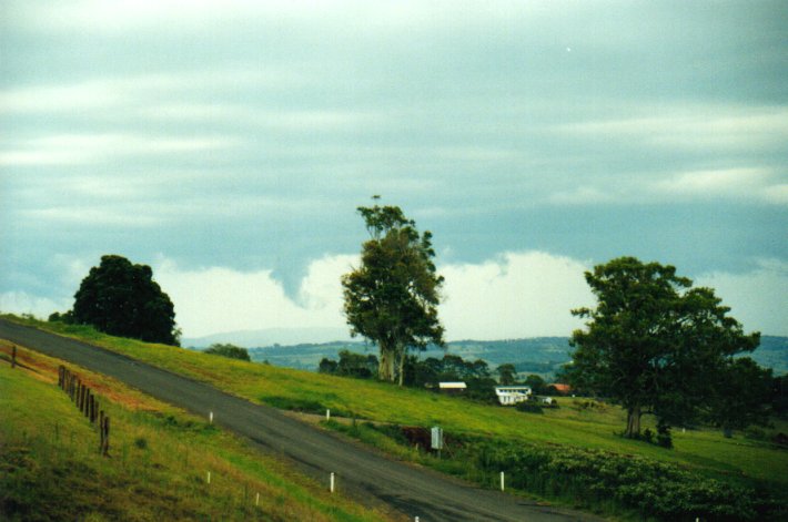 cumulonimbus thunderstorm_base : McLeans Ridges, NSW   27 December 2000