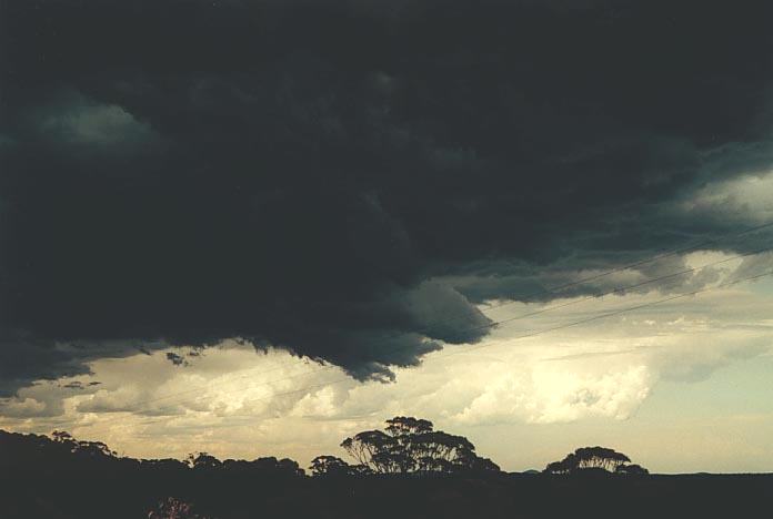 cumulonimbus thunderstorm_base : Bell, NSW   5 January 2001