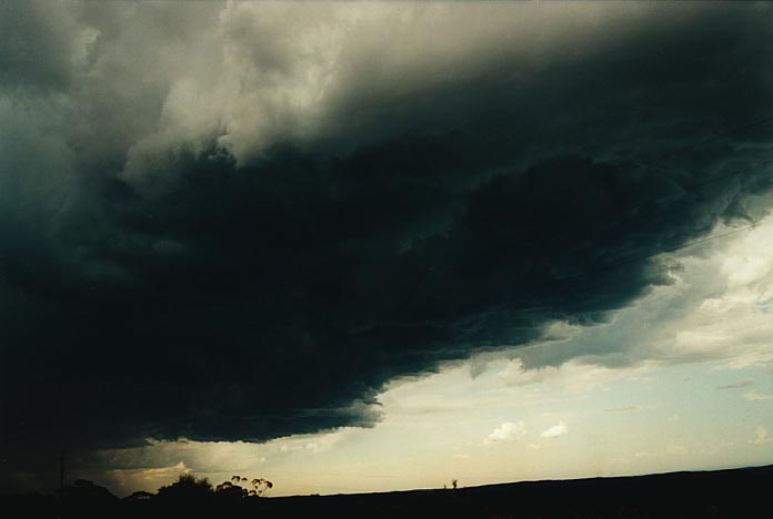 cumulonimbus thunderstorm_base : Bell, NSW   5 January 2001