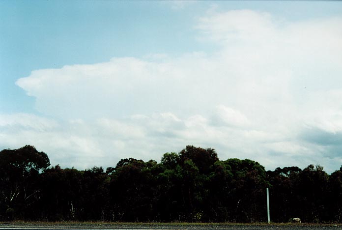 cumulus humilis : Lithgow, NSW   7 January 2001