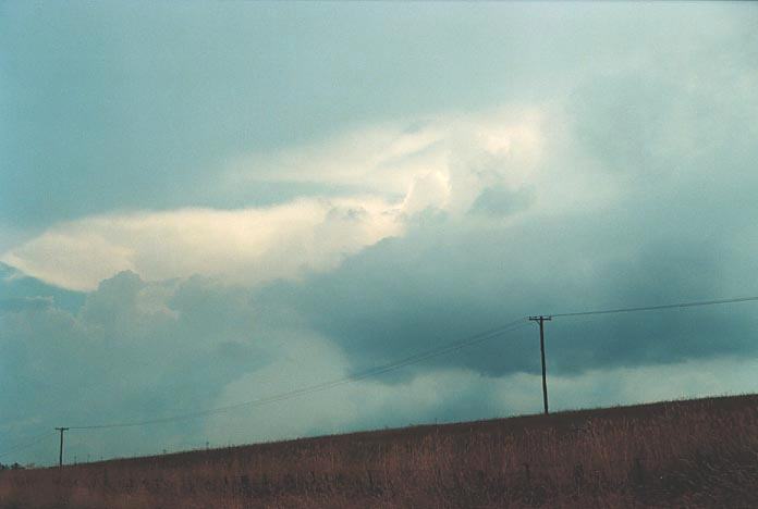 cumulonimbus supercell_thunderstorm : S of Lithgow, NSW   7 January 2001