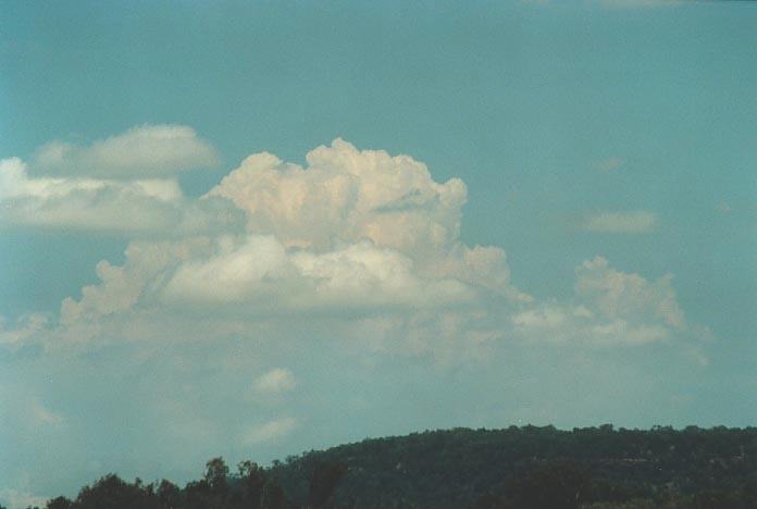 thunderstorm cumulonimbus_calvus : Gunnedah, NSW   8 January 2001