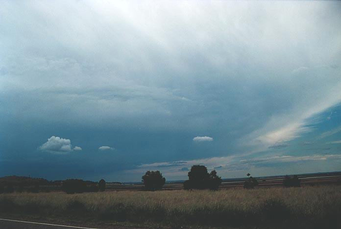 anvil thunderstorm_anvils : near Mullaley, NSW   8 January 2001