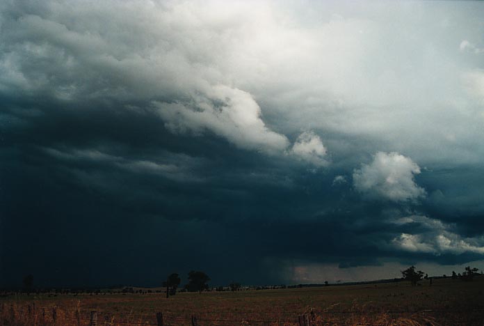 cumulonimbus thunderstorm_base : E of Purlewaugh, NSW   8 January 2001