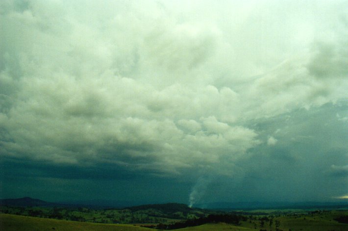 cumulonimbus thunderstorm_base : Mallanganee NSW   8 January 2001