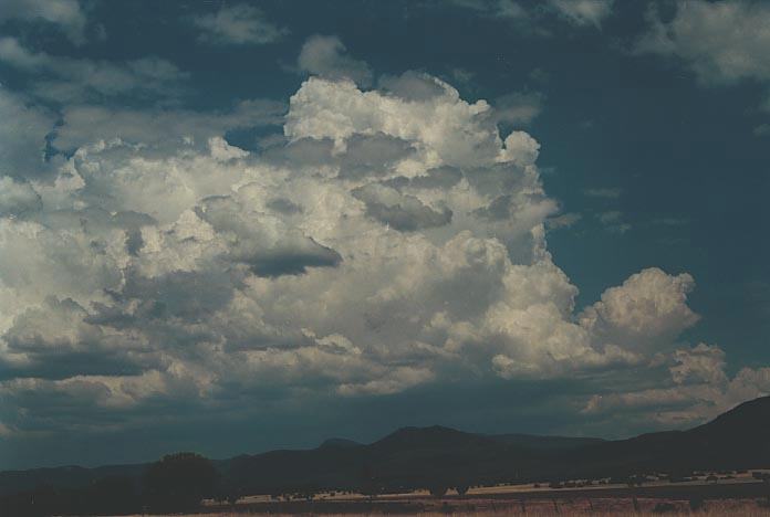 thunderstorm cumulonimbus_calvus : Narrabri, NSW   16 January 2001