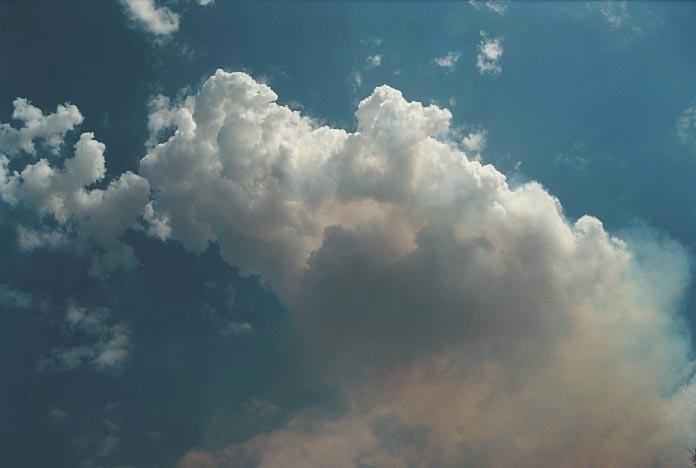 cumulus pyrocumulus : Narrabri, NSW   16 January 2001