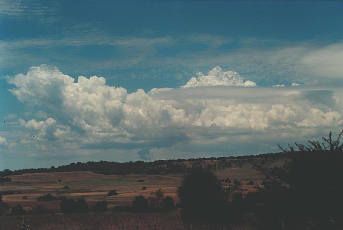 thunderstorm cumulonimbus_calvus : E of Glen Innes, NSW   17 January 2001