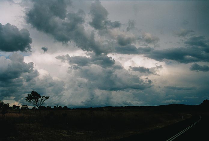 cumulus mediocris : Wongwibinda, NSW   17 January 2001