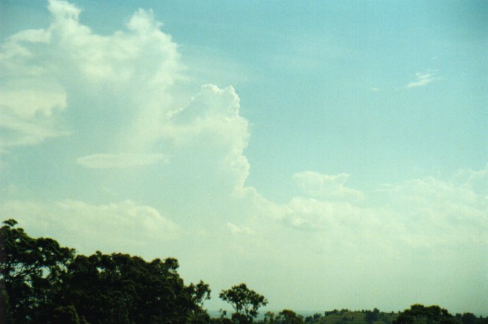 cumulus congestus : Tregeagle, NSW   17 January 2001