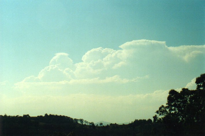 thunderstorm cumulonimbus_calvus : Wyrallah, NSW   17 January 2001