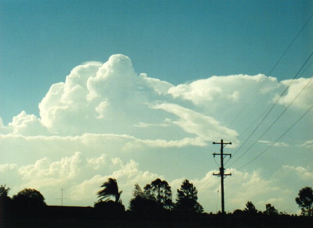 thunderstorm cumulonimbus_incus : Parrots Nest, NSW   17 January 2001