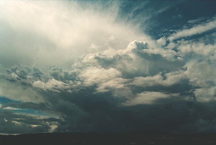 thunderstorm cumulonimbus_calvus : Nymboida, NSW   18 January 2001