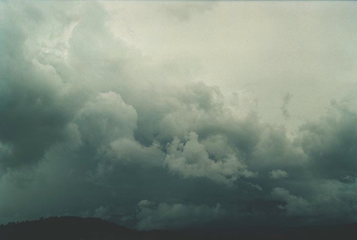 cumulonimbus thunderstorm_base : Nymboida, NSW   18 January 2001
