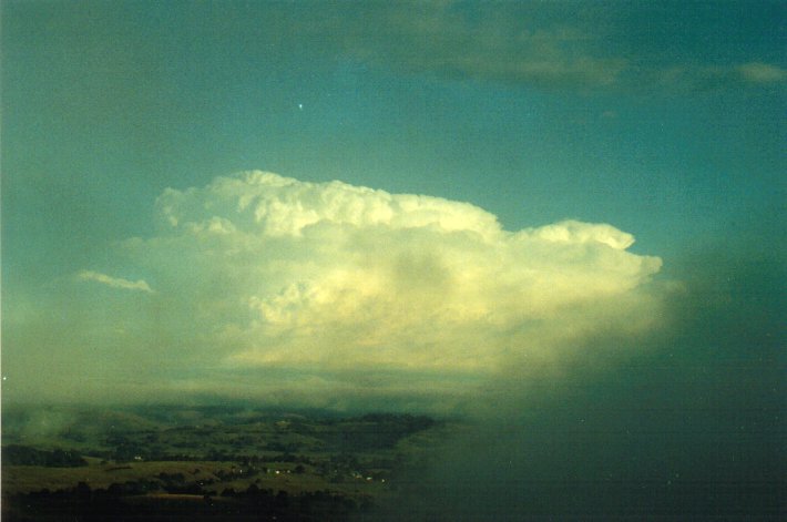cumulonimbus supercell_thunderstorm : McLeans Ridges, NSW   18 January 2001