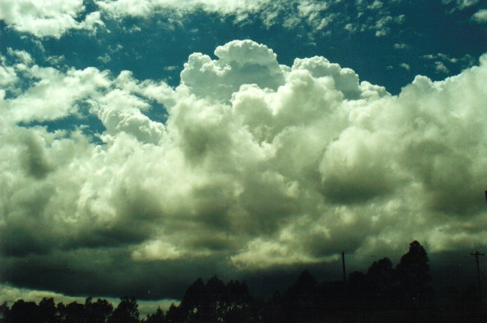 thunderstorm cumulonimbus_calvus : McLeans Ridges, NSW   18 January 2001